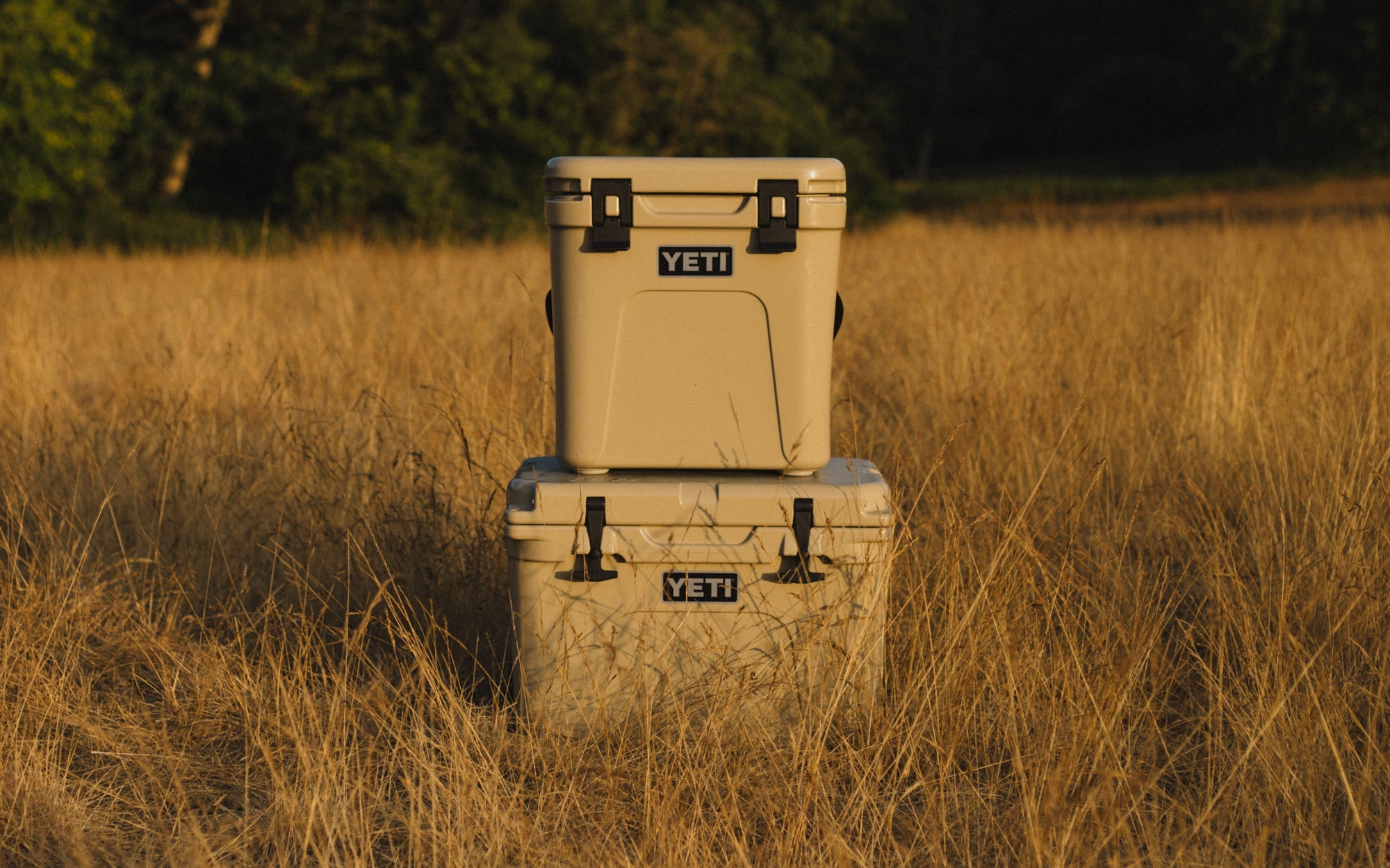 YETI