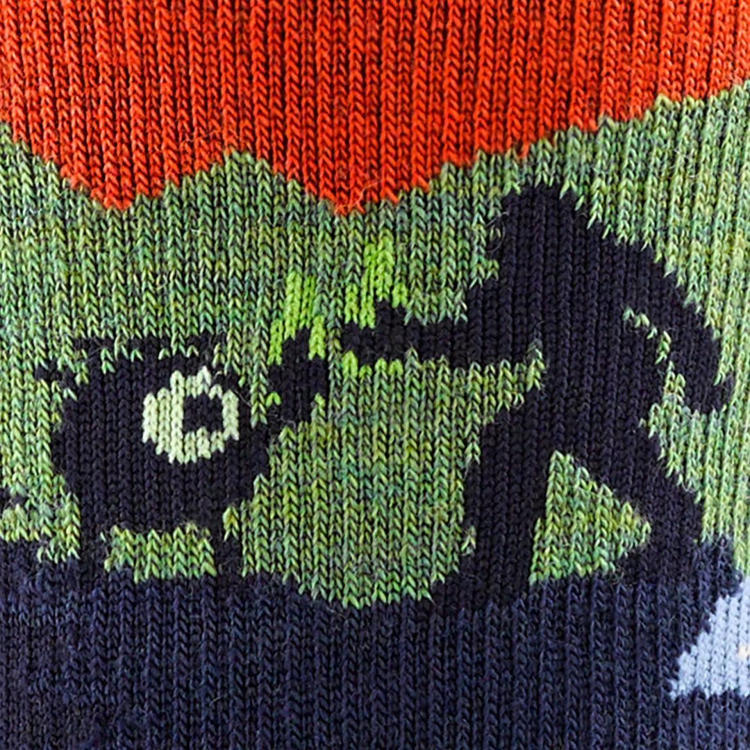Darn Tough Close Encounters Micro Crew Midweight Sock