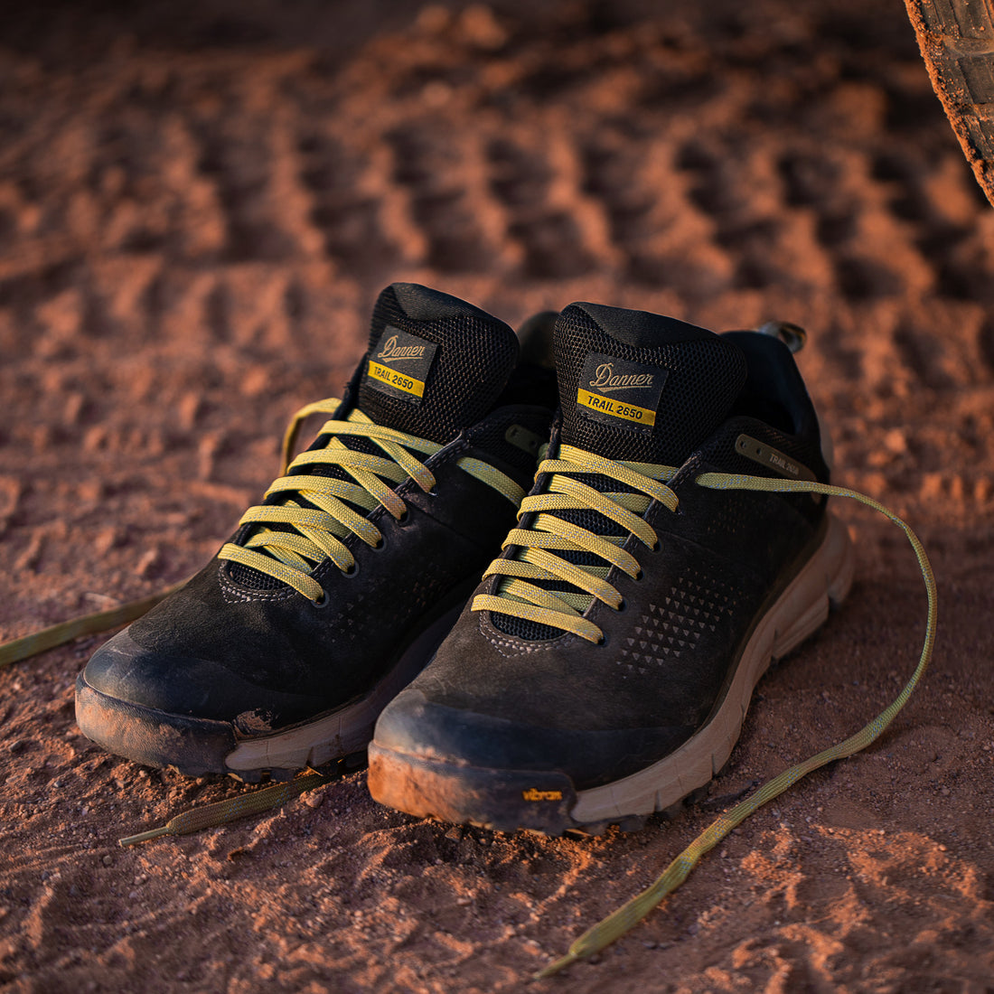 Danner Trail 2650 GTX | Black Olive / Flax Yellow